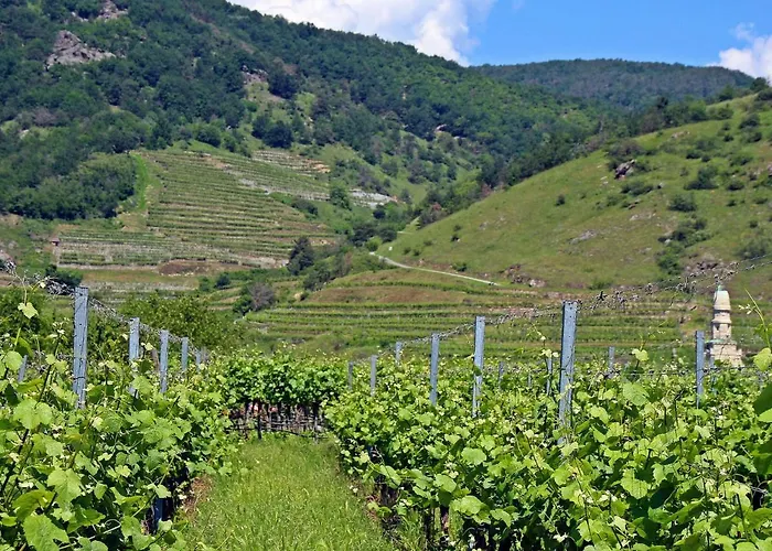 Haus Fries By Interhome Unterbergern