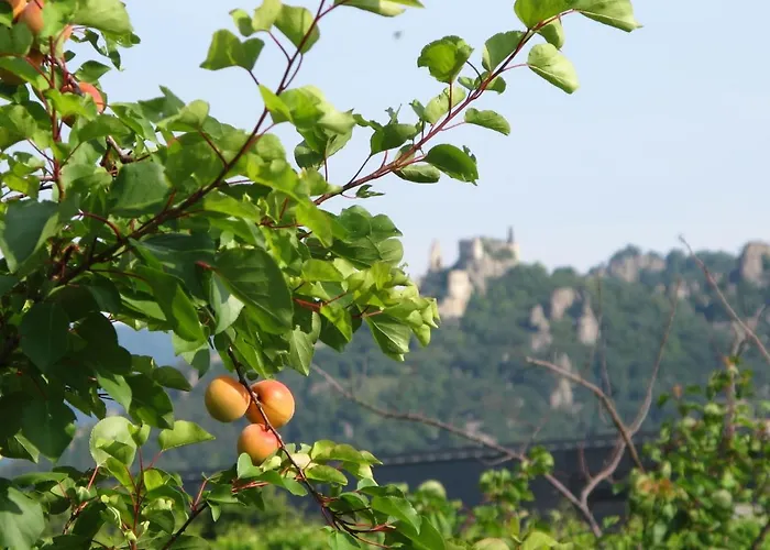 Haus Fries By Interhome * Unterbergern